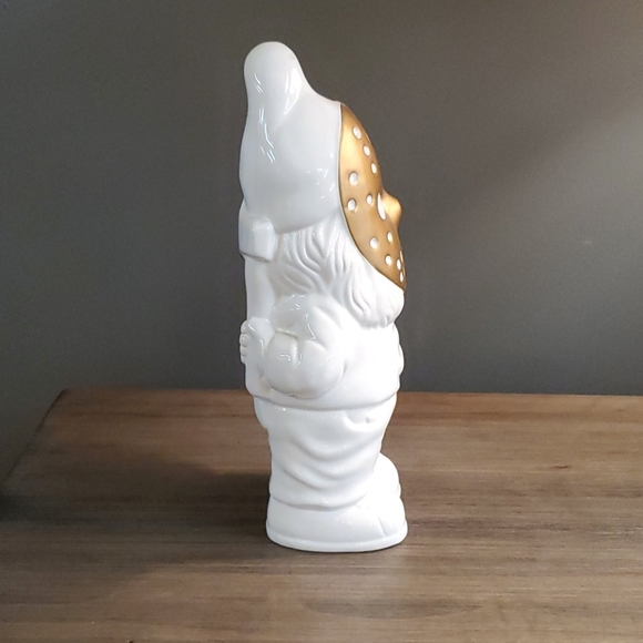 Firetrap gnome - Picture 4 of 7